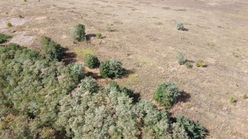 Drone Footage of Agricultural Lands