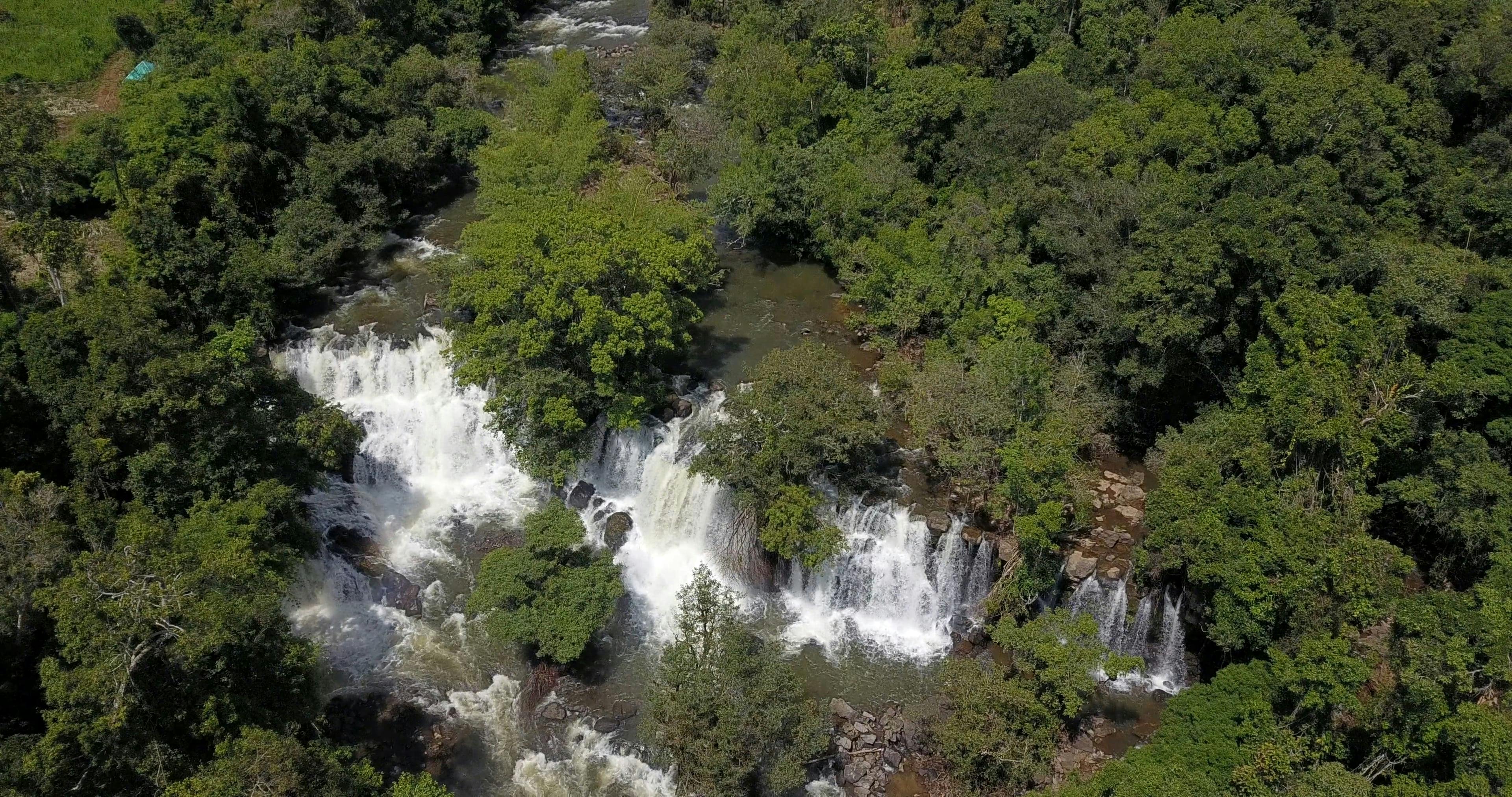 Video by Suraphat Nuea-on