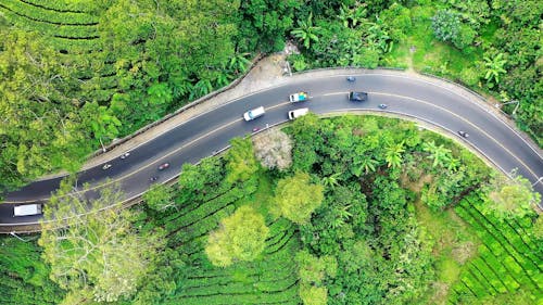 Top View of Vehicles Traveling on a Curvy Road