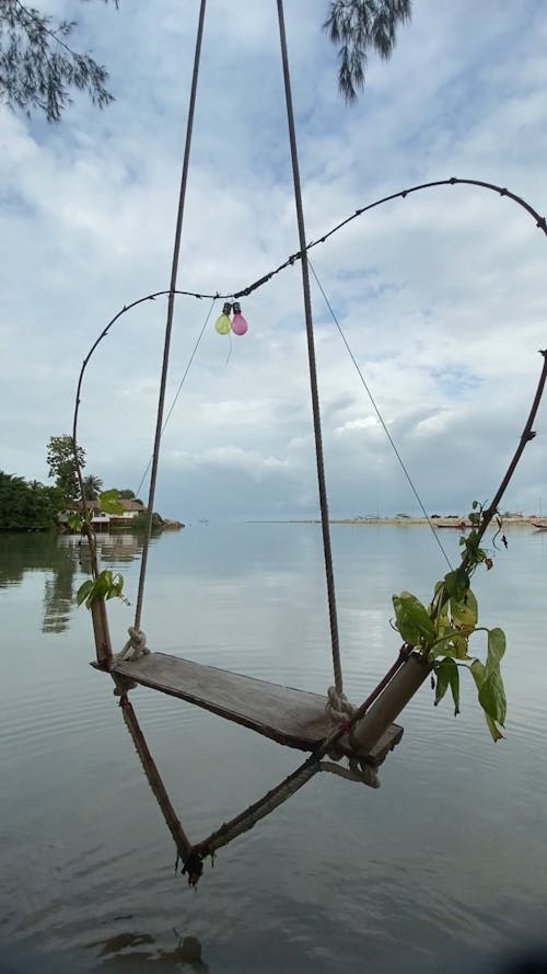 Swing Hanging on the Tree by the Riverside