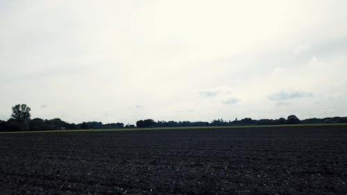 Drone Footage of Vast Agricultural Land