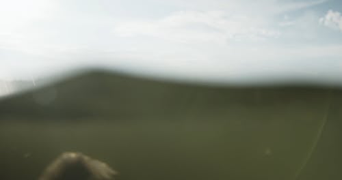 A Woman Swimming In The Lake