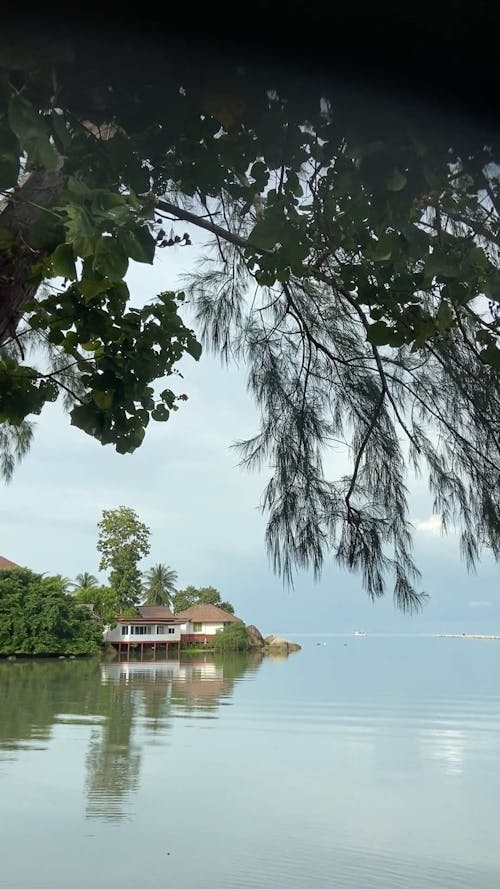 Long Shot Footage Of A House By The Lakeshore