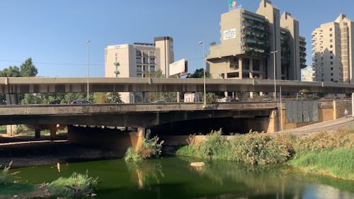 Vehicles Traveling on a Bridge in a City