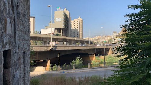 Vehicles Traveling on Expressway