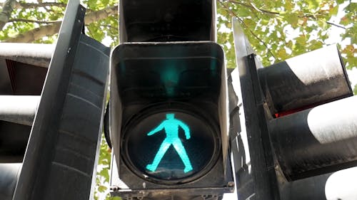 Traffic Light On Green For Pedestrian Walking