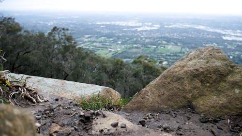 The View From The Mountain Top