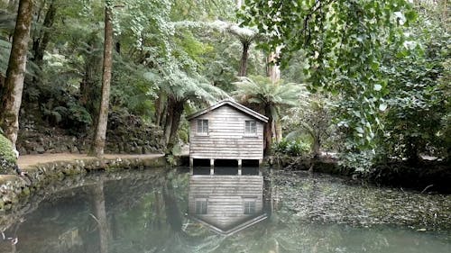 A Wooden Hut By The Forest Lake Shore