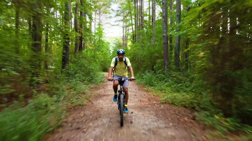 Person Biking on the Forest
