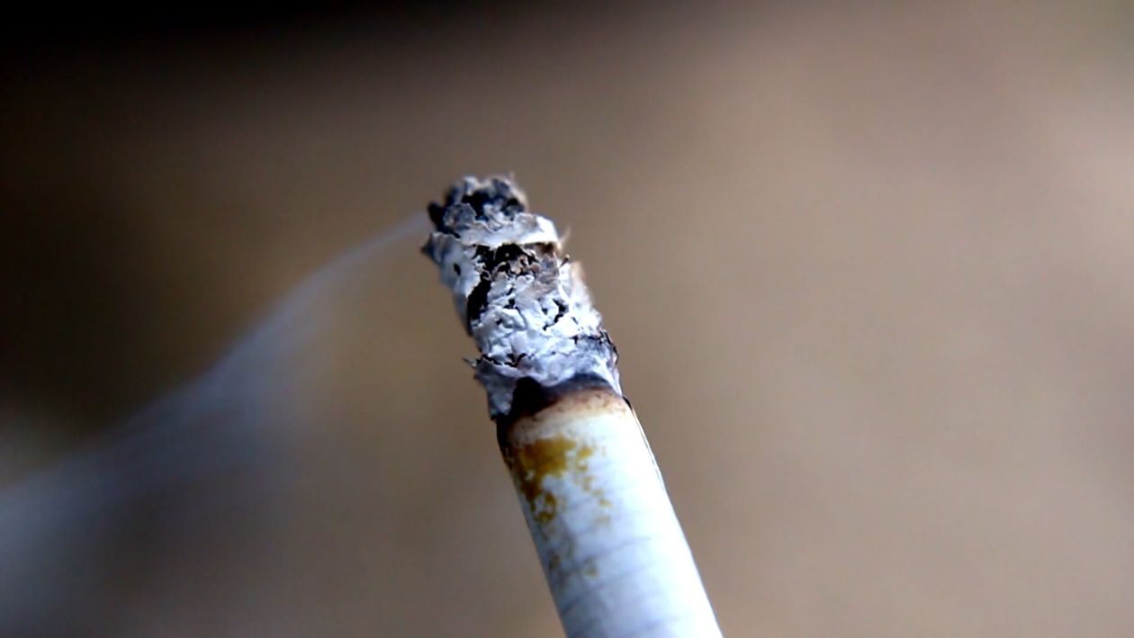 cigarette smoke footage on black background, slow motion Smoke flow in air on