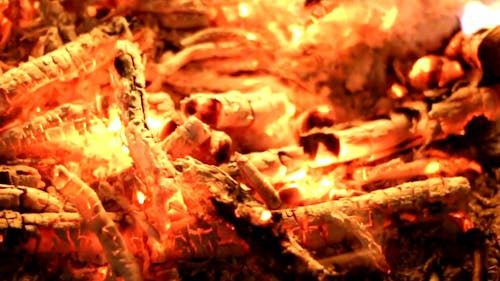 Close-Up View of Burning Firewood
