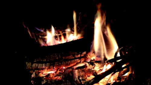 A Burning Firewood on Black Background