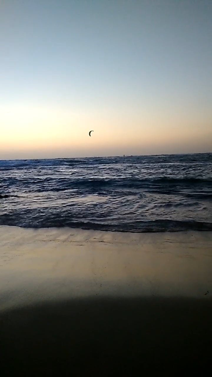 Video by Natalie Birdy