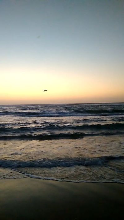 Natalie Birdy's ocean waves sunset video