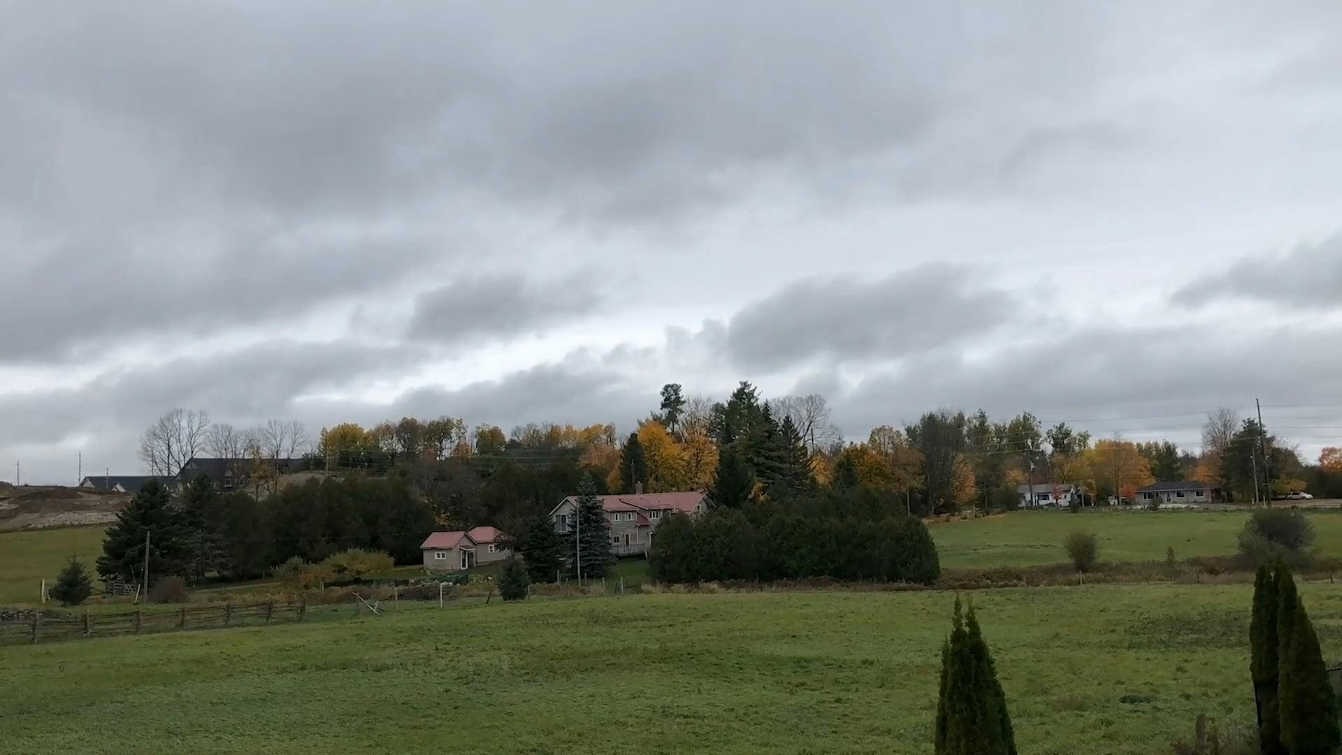 Vídeo profissional gratuito de agricultura, ambiente natural, área ...