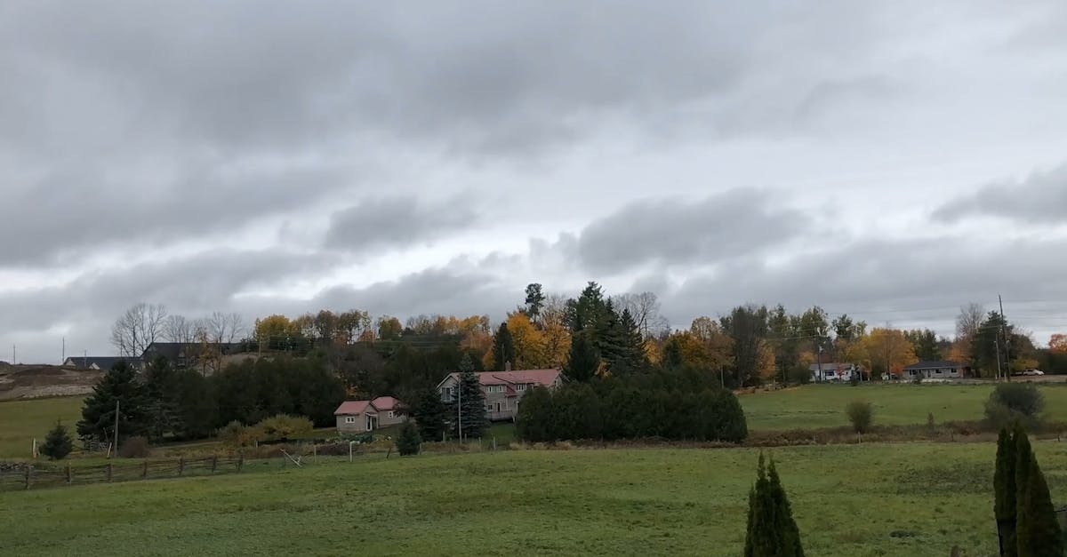 Vídeo profissional gratuito de agricultura, ambiente natural, área ...