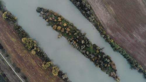 Aerial View of River and Trees