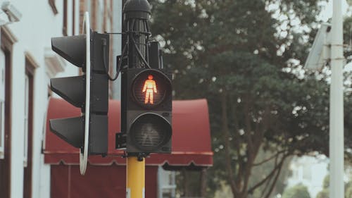 A Pedestrian Traffic Light Turning Green from Red