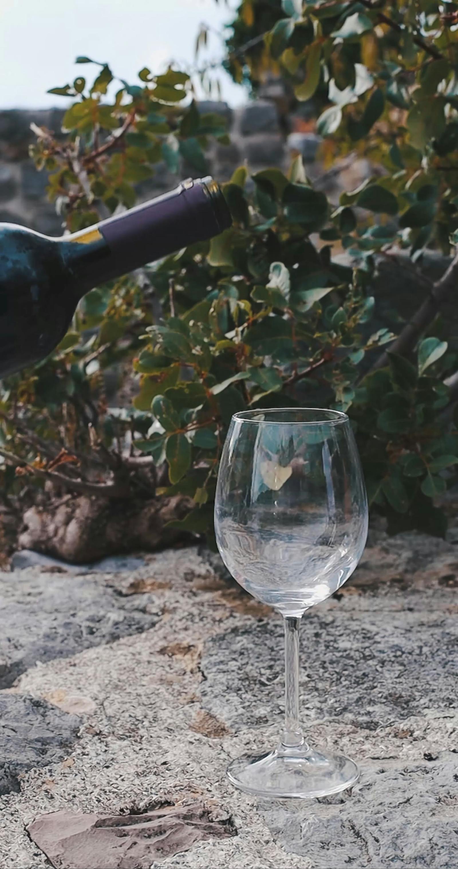 VID OS PORNO GRATUITES FILLES NOIRES POILUES visual data 2