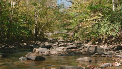 Flowing Water on a  Rocky River