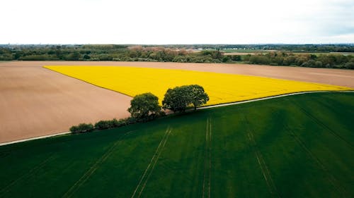 Drone Footage of a Agricultural Land