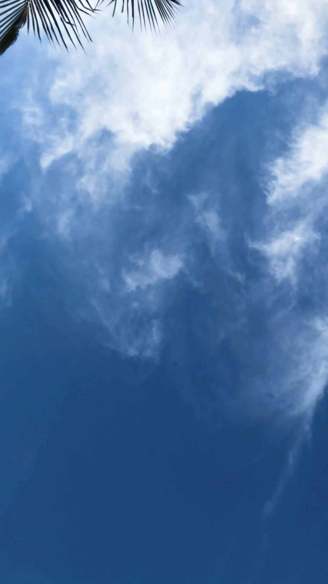 Video by Ricardo Moreira