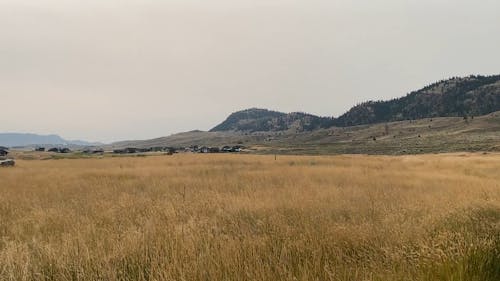Panning Shot of Grass Field Across the Mountains
