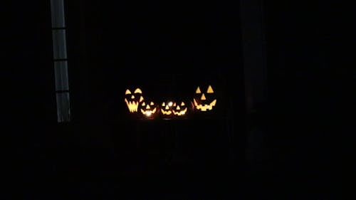 Lighted Carved Pumpkins in the Dark