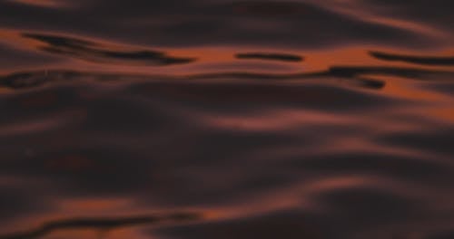 Close-Up Video of a Calm Water Surface