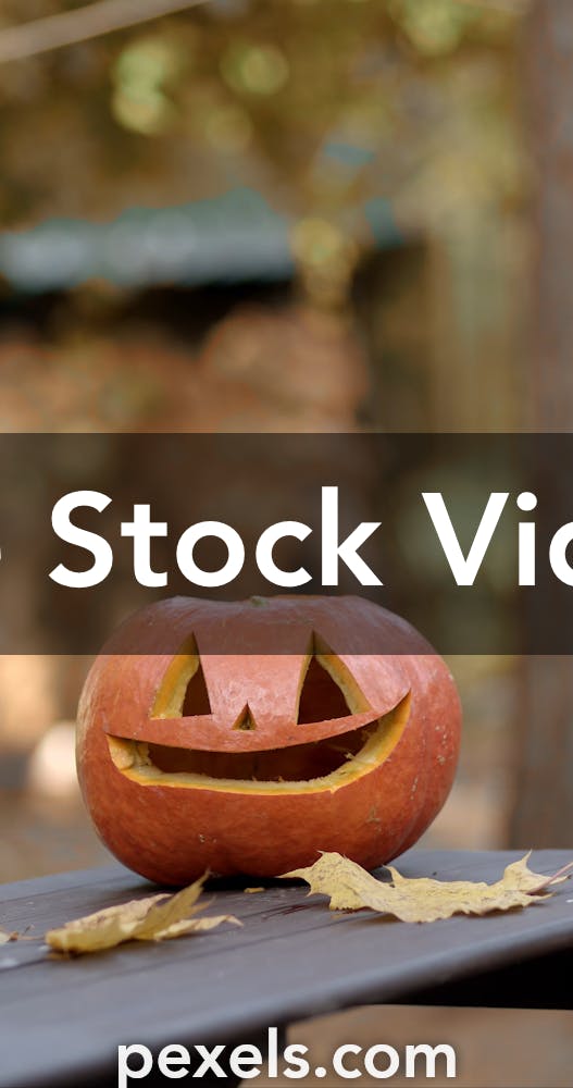 easy-pumpkin-carving-templates-videos-download-free-4k-stock-video