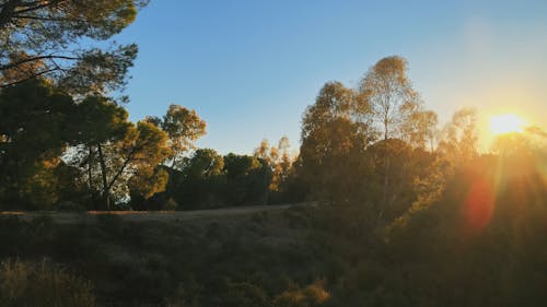 Landscape Mountains 