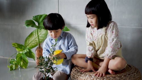 Children Watering a Plant