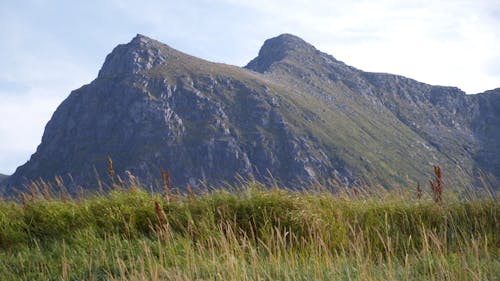 Green Rocky Mountain and Tall Grass