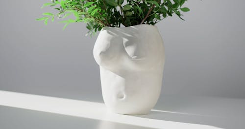 A Flower Pot in a Shape of Woman Torso