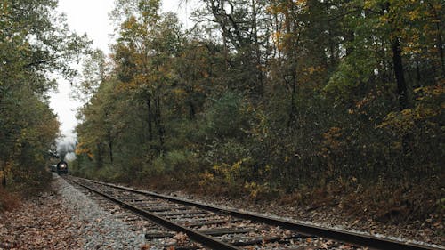 Steam Locomotive Approaching 