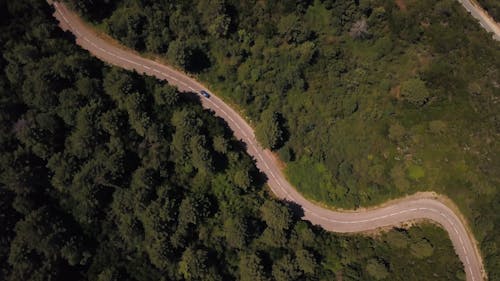Aerial View of Winding Road and Dense Forest