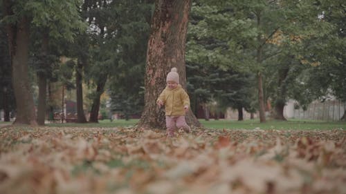Kid Running on Dry Leaves