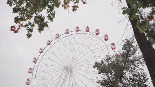 Video of a Ferris Wheel