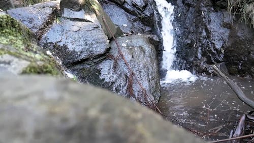 Wet Rocks on the River