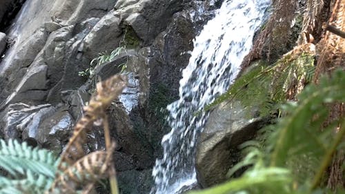 Waterfalls in the Forest