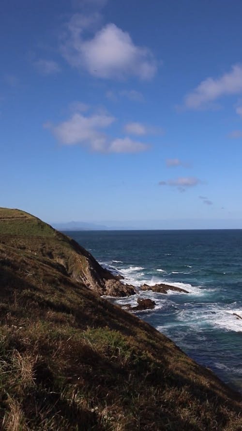 View at the Seashore