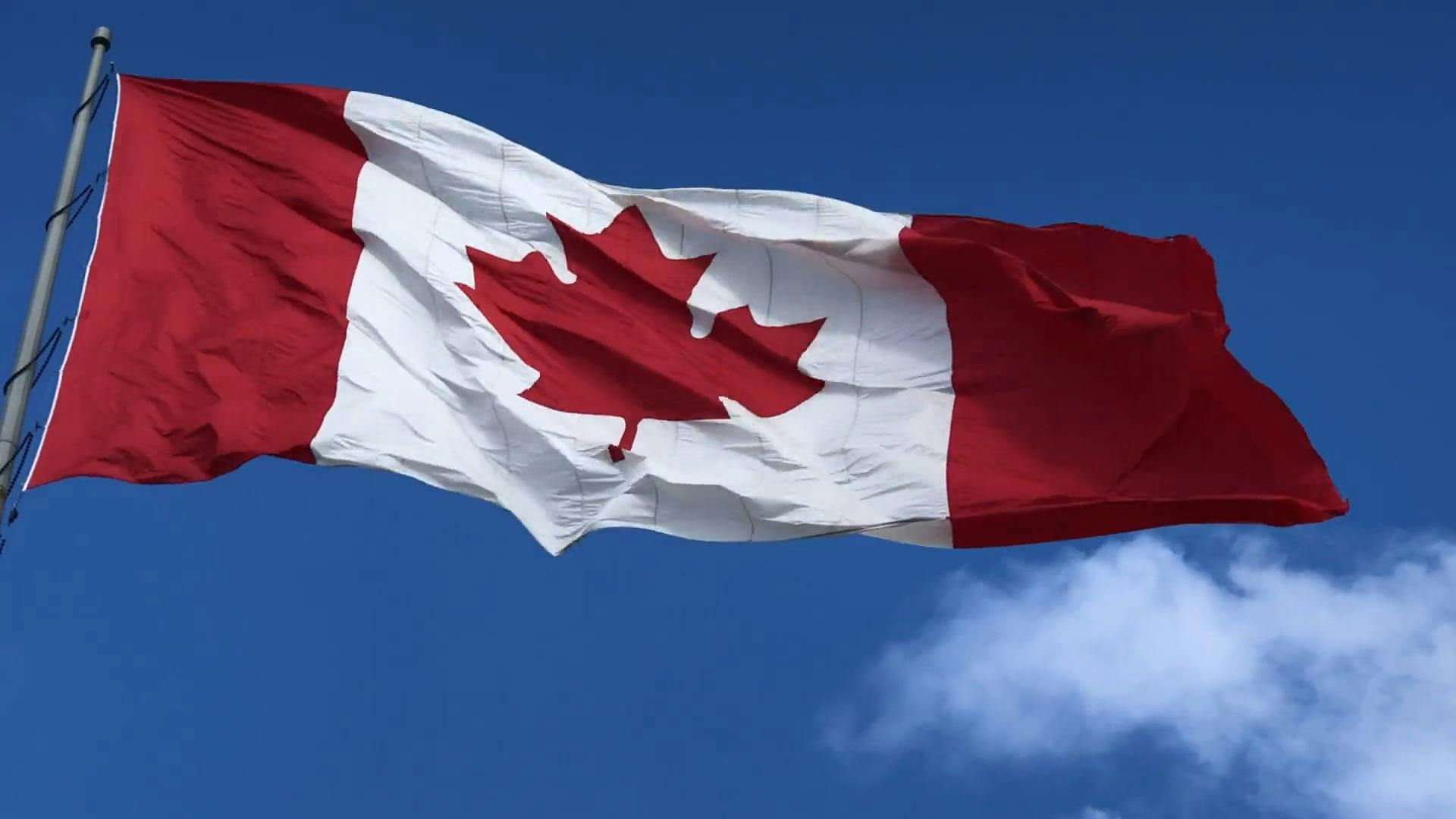 waving canadian flags