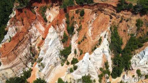 Aerial Footage of Trees