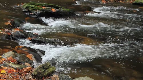 A River Stream Cascading Through Rocks