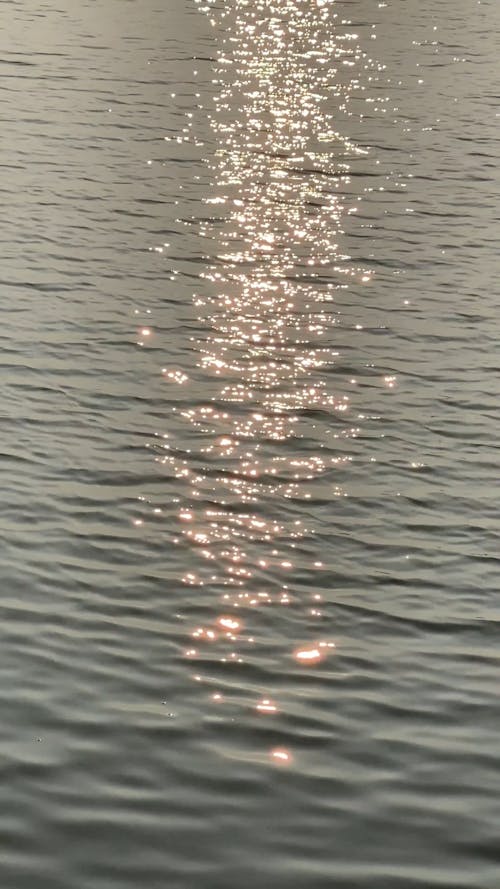 Reflection of Light in the Water