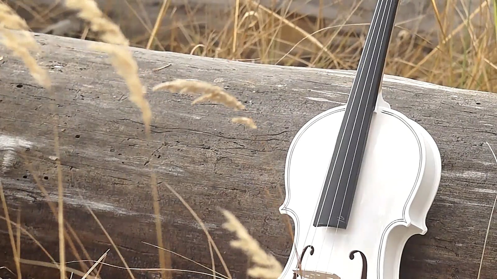 Violin Videos, Download The BEST Free 4k Stock Video Footage & Violin