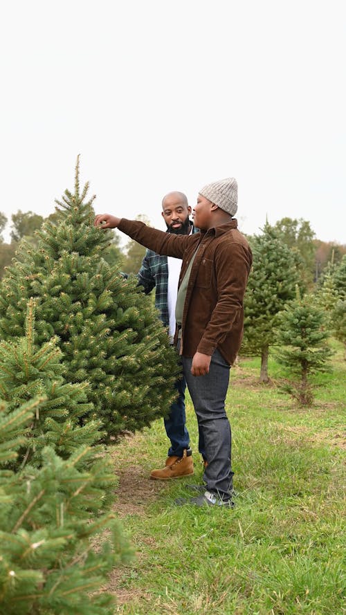 Father and Son Looking for Christmas Tree