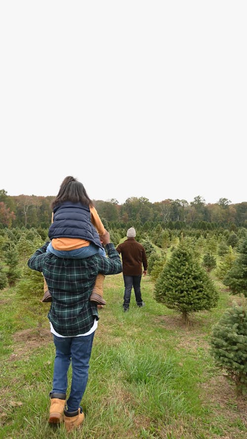 Whole family is Looking for a Good Christmas Tree