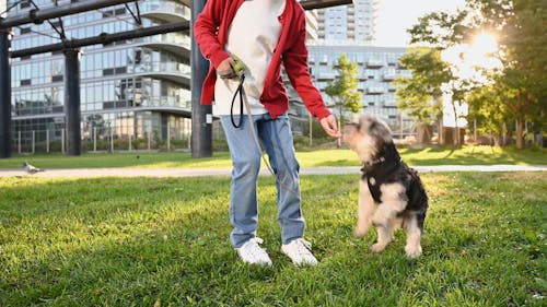 A Kid Petting His Dog