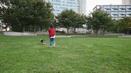 A Kid Walking His Dog in the Park